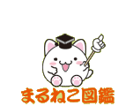 まるねこ図鑑